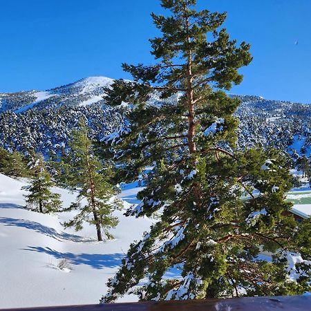 דירות Greolieres Les Neiges מראה חיצוני תמונה