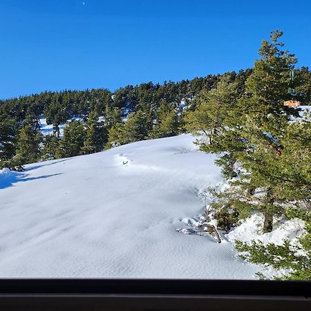 דירות Greolieres Les Neiges מראה חיצוני תמונה