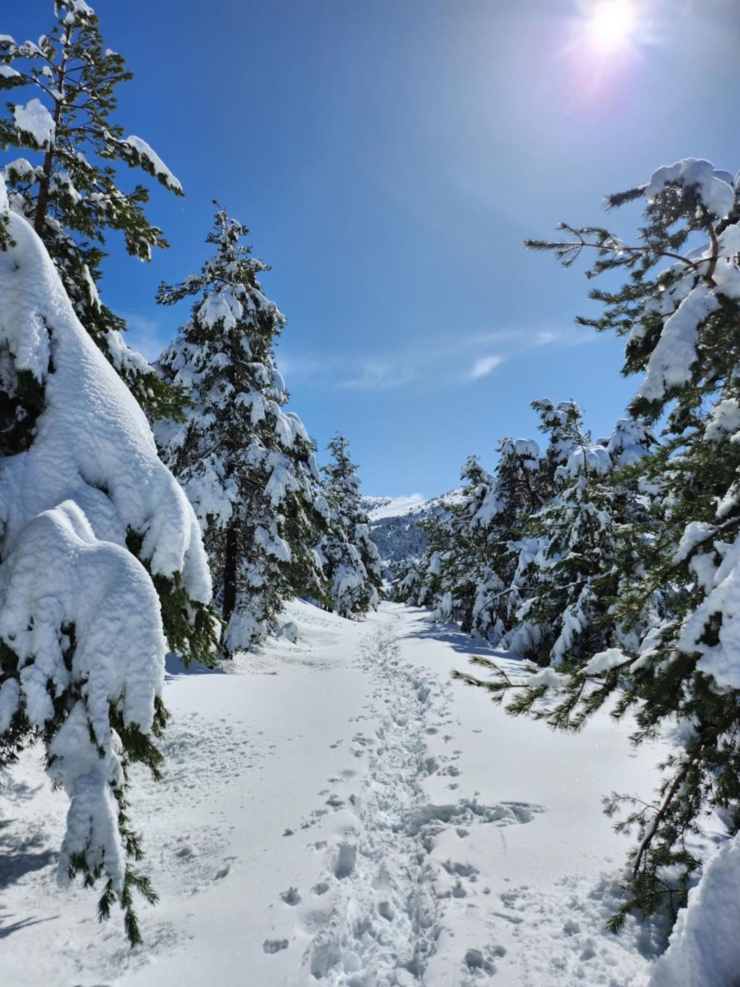 דירות Greolieres Les Neiges מראה חיצוני תמונה